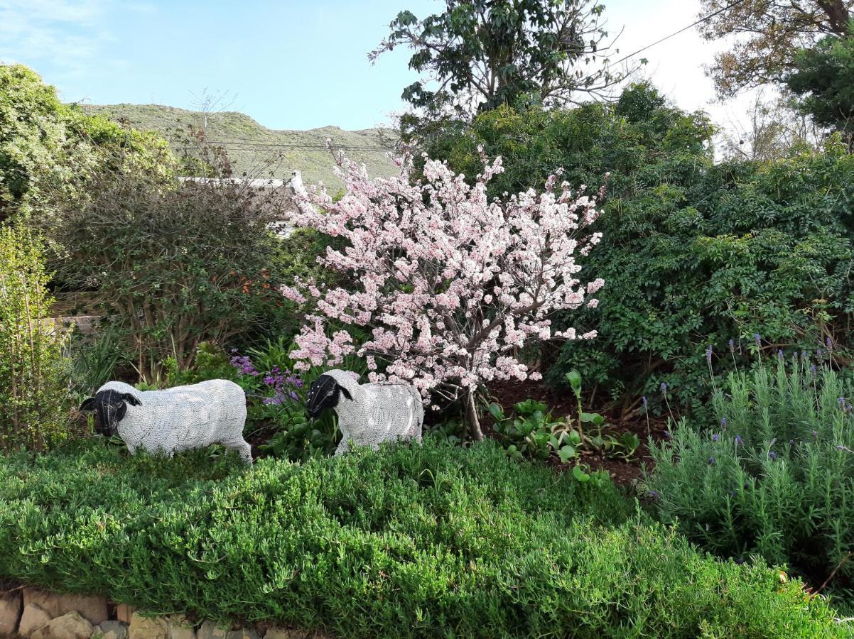 Over Karoo Inn แบร์รีเดล ภายนอก รูปภาพ